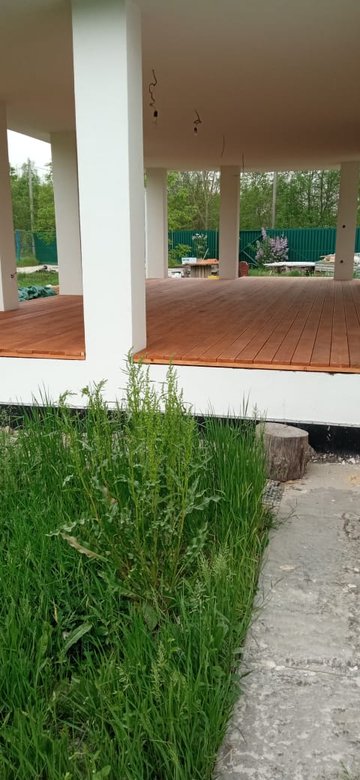 WhatsApp Image 2024-05-11 at 20.24.47 (1)